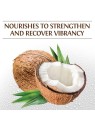 Farouk Systems Biosilk Coconut Oil Conditioner 355ml