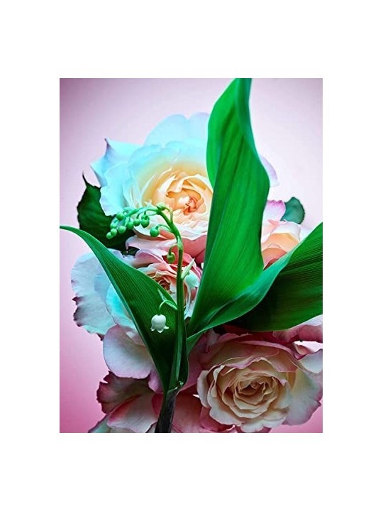 Bvlgari Rose Goldea Blossom Delight eau de parfum spray donna 50ml Bvlgari www.essenzetotalstyle.com 