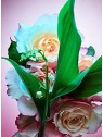 Bvlgari Rose Goldea Blossom Delight eau de parfum spray donna 50ml Bvlgari www.essenzetotalstyle.com 
