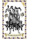 Argos Triumph Of Bacchus Eau De Parfum 100ml
