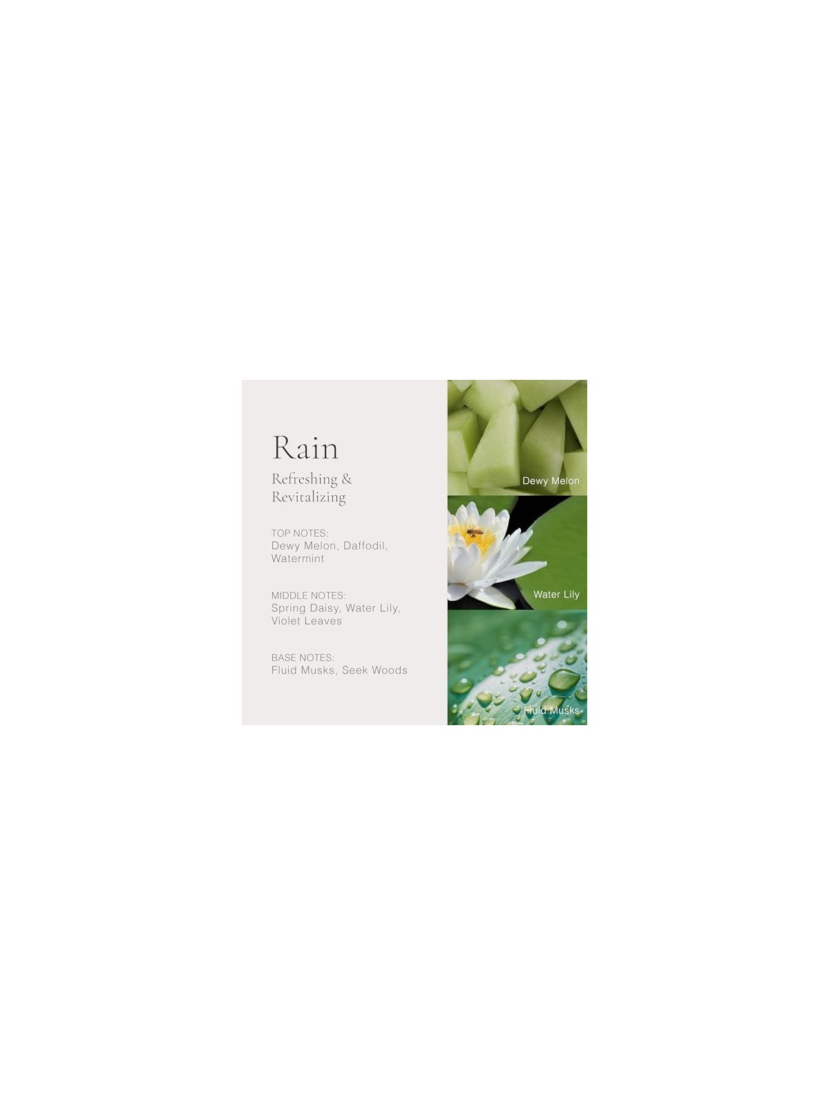 Clean Classic Rain eau de parfum Spray donna 30ml acquista 