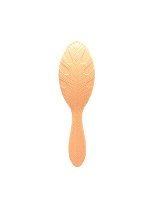 Spazzola Wet Brush Go Green al Cocco