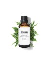 Daffoil Olio Essenziale di CIPRESSO 100ml unisex