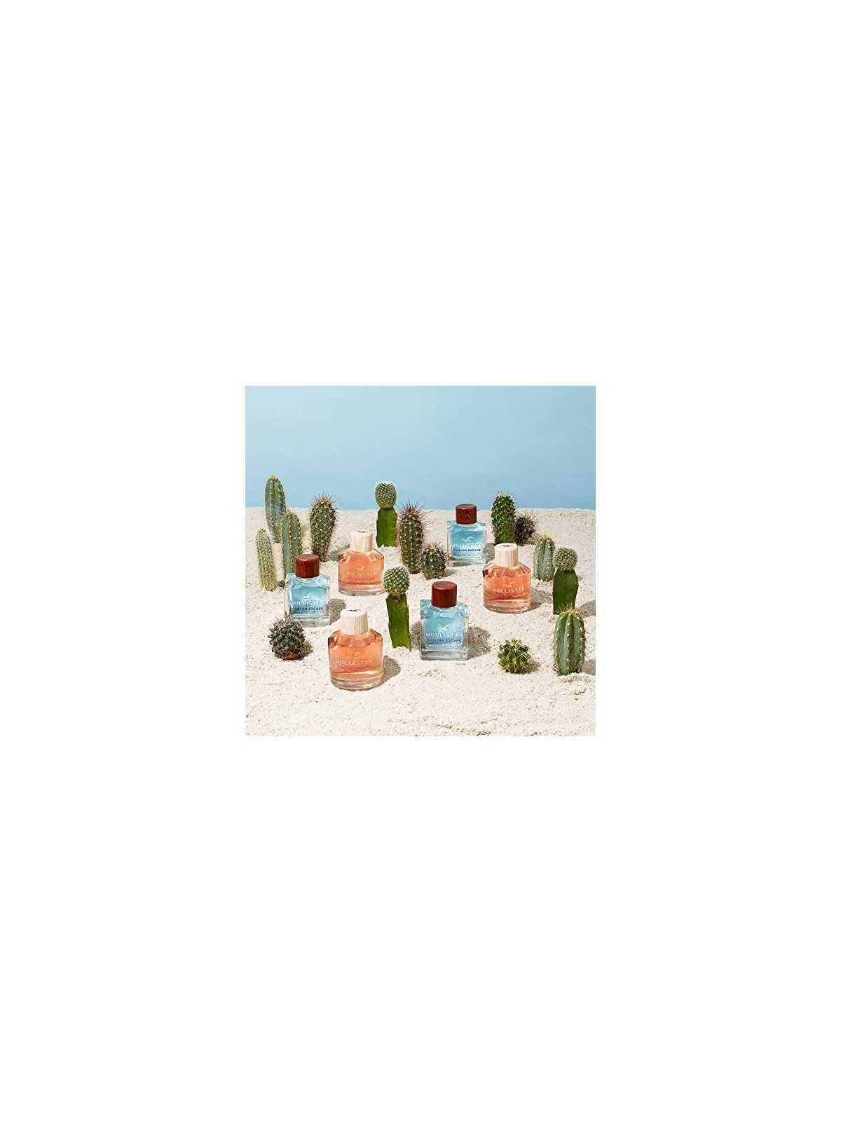 Hollister Canyon Fuga eau de parfum donna