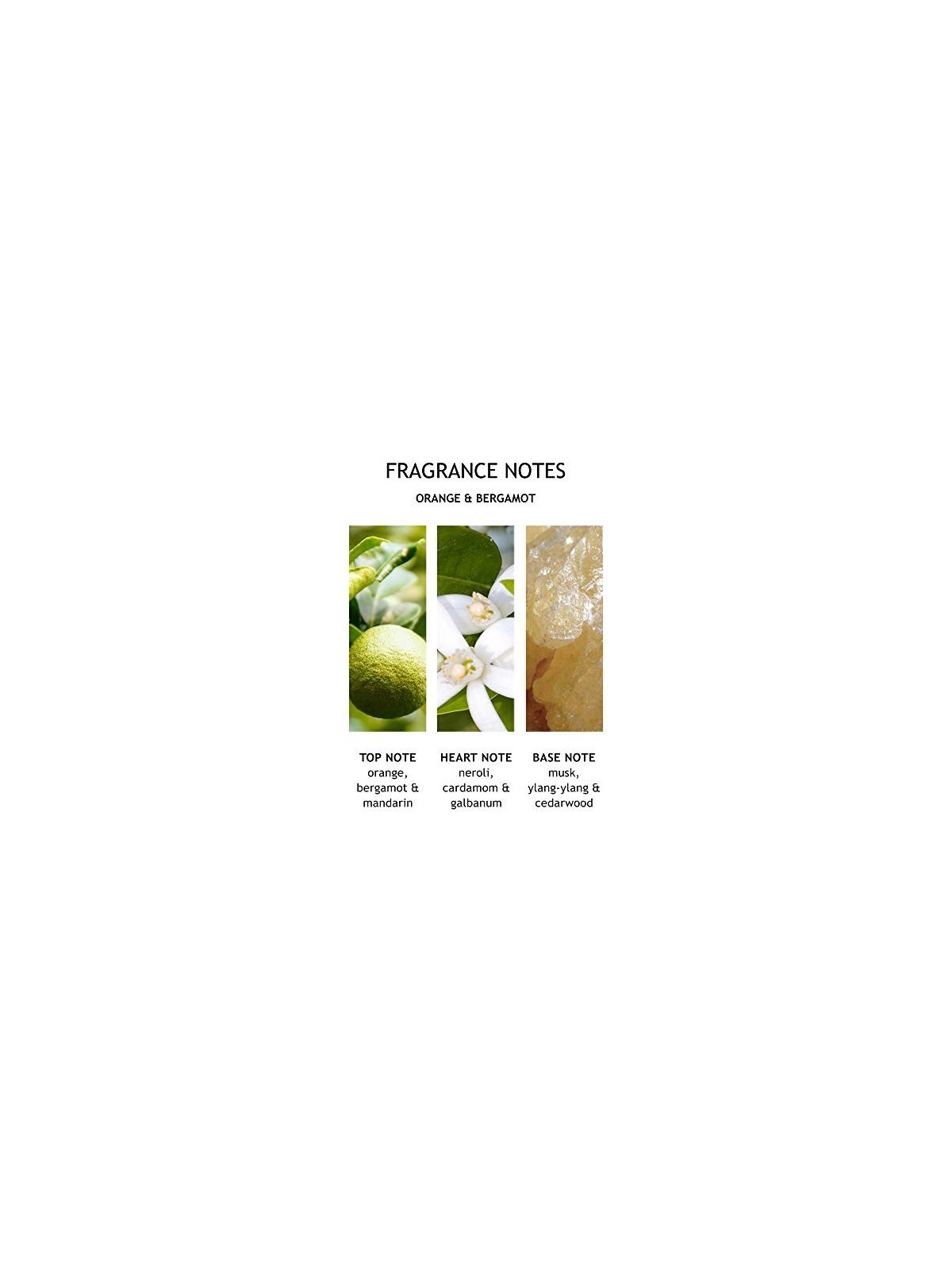 Molton Brown Arancia & Bergamotto Eau De Toilette100ml Unisex