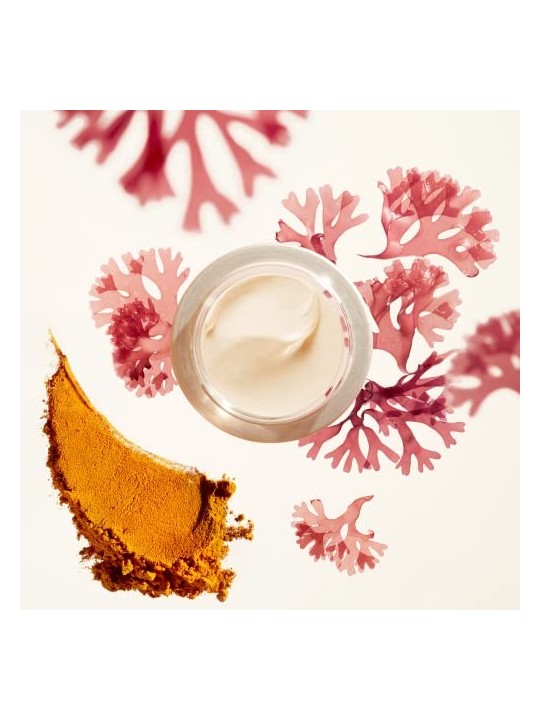 Crema giorno Shiseido Benefiance SPF25 50ml