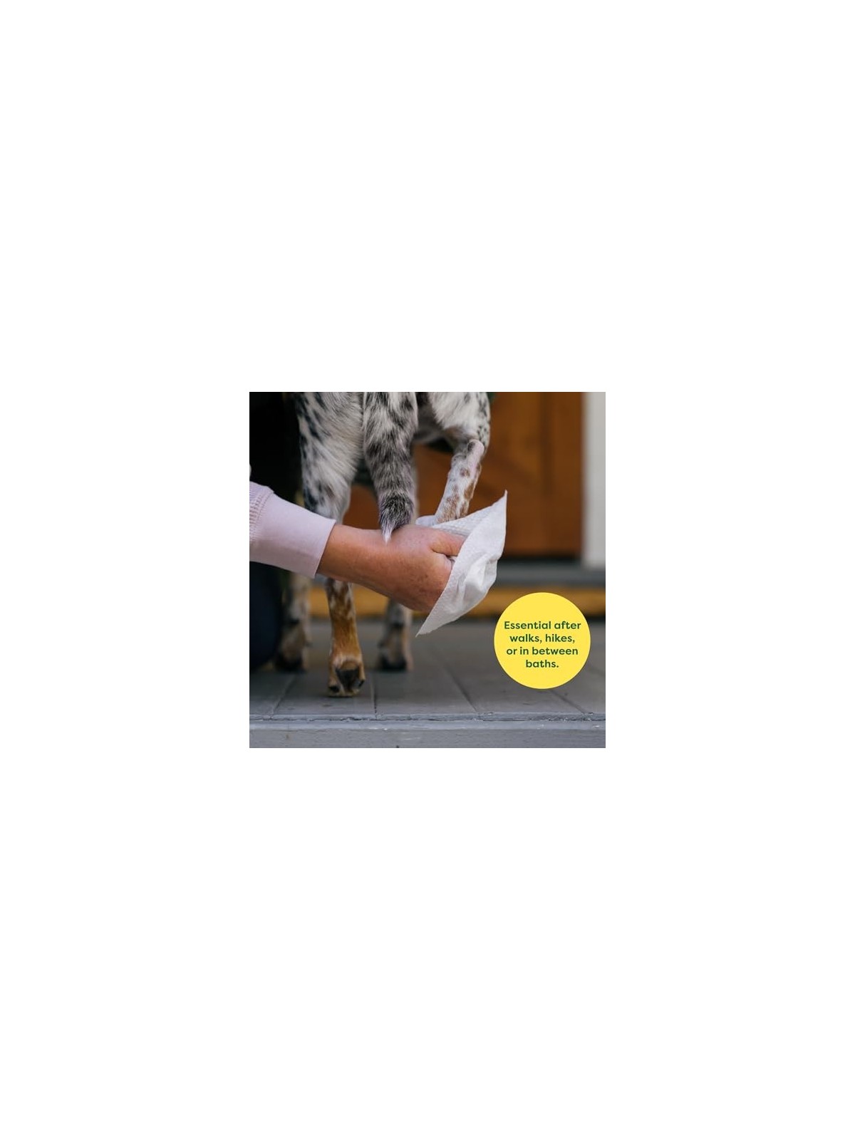 Earth Rated PET WIPES bio lavanda 100 unit