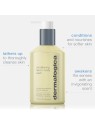 Dermalogica Conditioning Body Wash Eucalyptus & Lavender