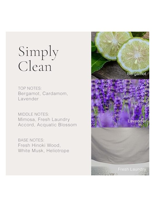 Parfum CLEAN Simply Clean 60ml per donna