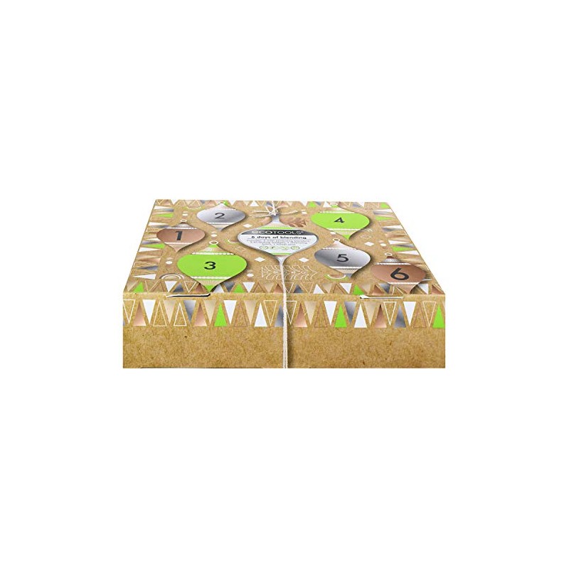 Set pennelli Ecotools ESSENZIALI PER SFUMATURA donna