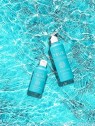 Shampoo secco L'ANZA TRUE Clean per tutti i tipi di capelli donna 560g