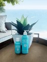 Shampoo secco L'ANZA TRUE Clean per tutti i tipi di capelli donna 560g