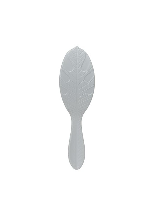 Spazzola Wet Brush Go Green al Carbone