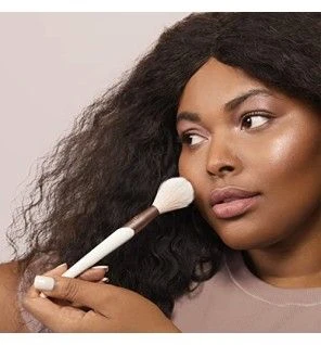 Ecotools LUXE pennello morbido per highlight 1 unit unisex