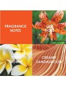 Britney Spears Blissful Fantasy Eau De Toilette 30ml