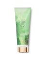 Lozione corpo Beneath The Palms Victoria's Secret 236ml