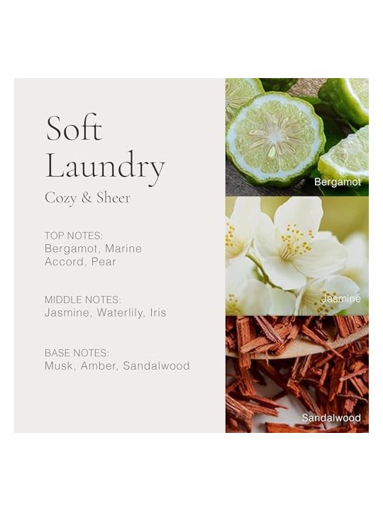 CLEAN Soft Laundry Eau De Parfum 30ml per donna