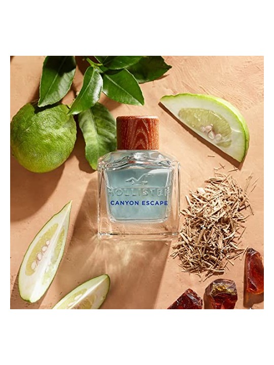 Hollister California Canyon Rush for Him Eau De Toilette 100 ml
