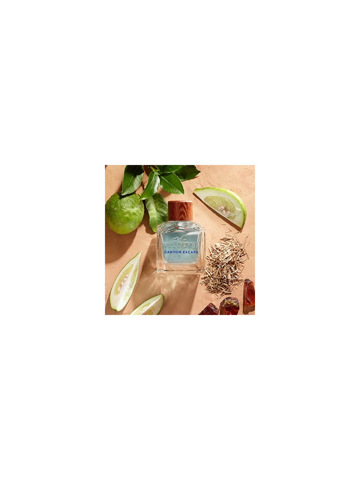 Hollister California Canyon Rush for Him Eau De Toilette 100 ml