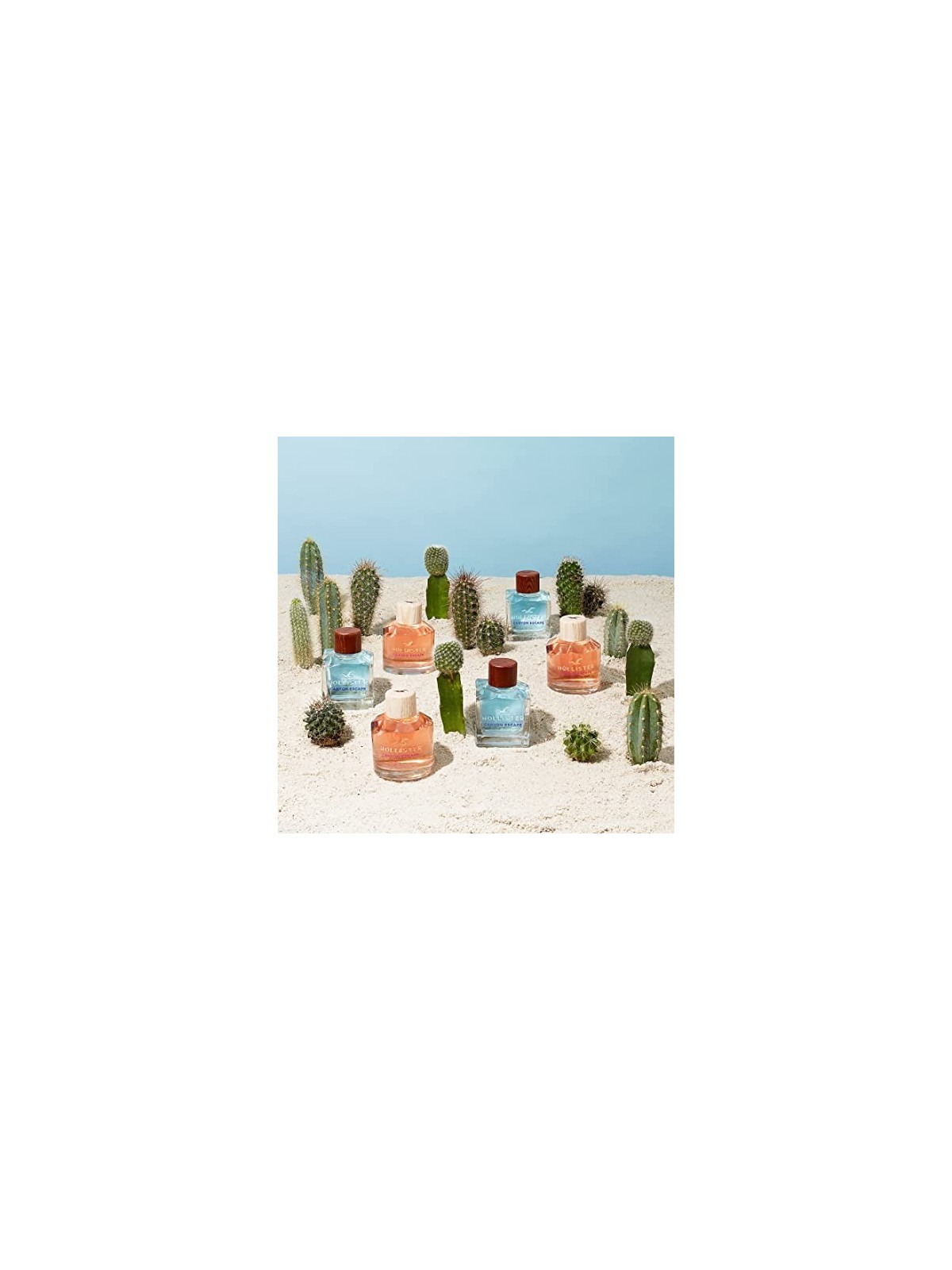 Hollister California Canyon Rush for Him Eau De Toilette 100 ml