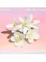DKNY Be Delicious 100% eau de parfum Spray 50ml acquista 