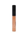 MAC Cosmetics MAC FACE CONCEALER NW40