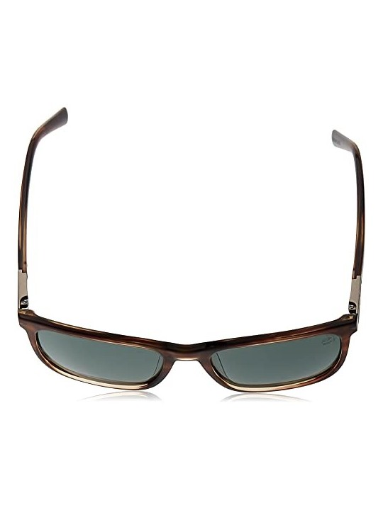Occhiali da sole Timberland TB9318 48R 140mm unisex