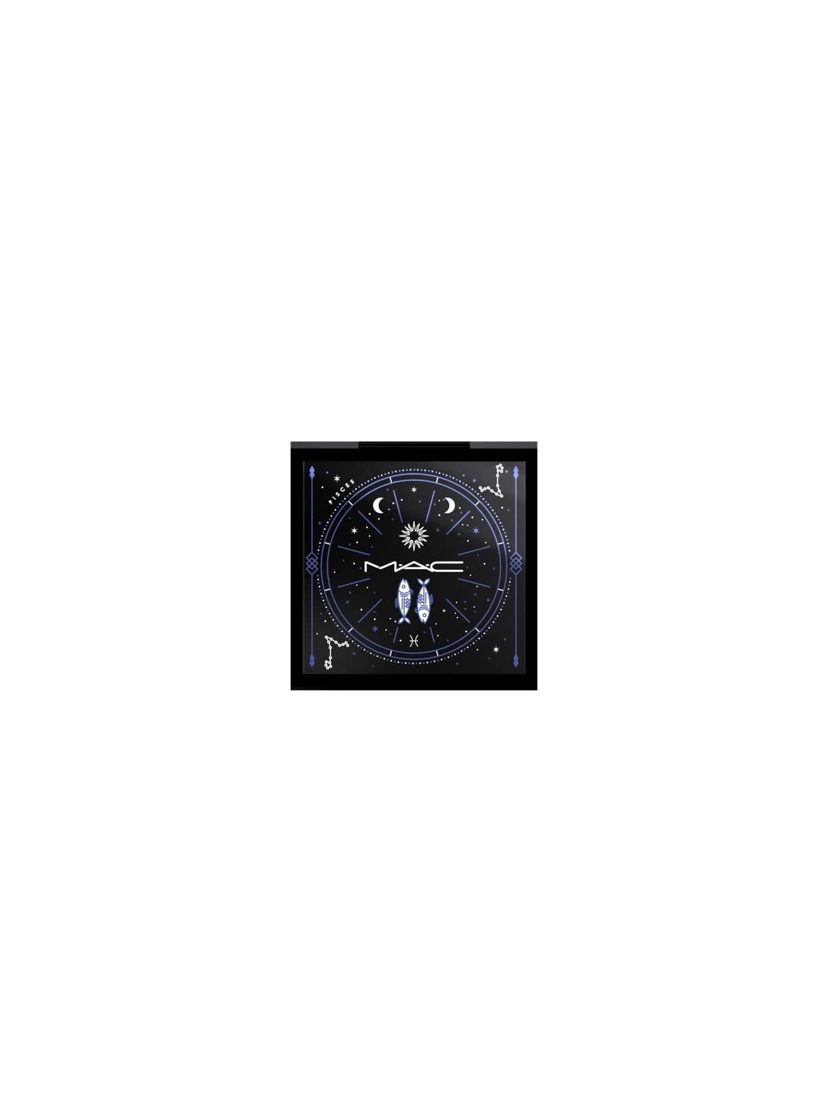 Palette vuota di trucco Pisces con 4 Slot per donna