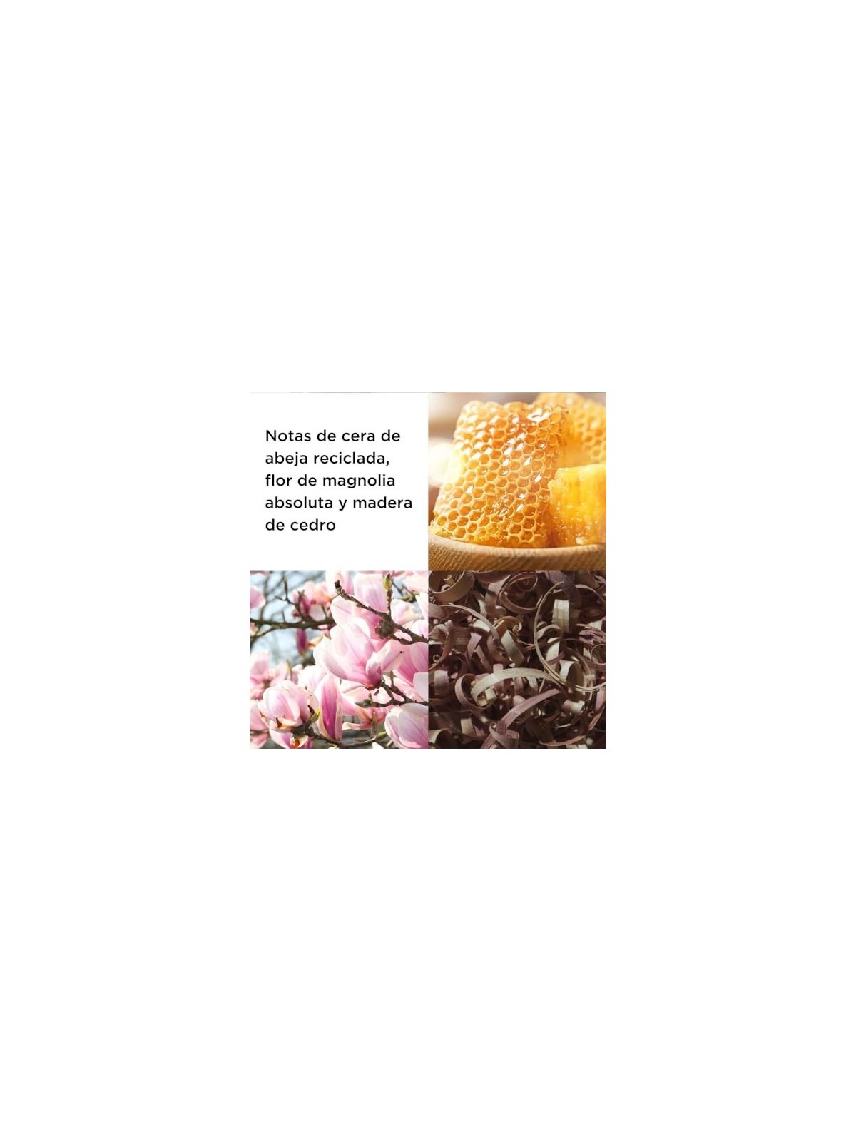 E.Arden Sunflowers HoneyDaze eau de toilette Spray 100ml
