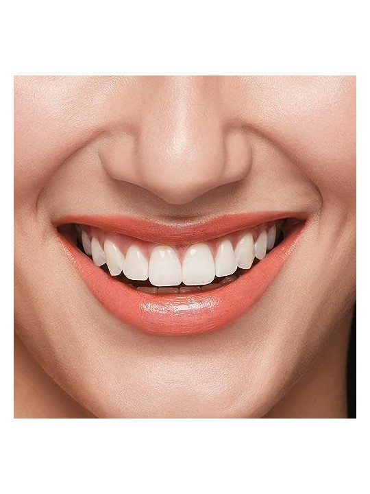 Rossetto in gel Shiseido TECHNOSATIN 402
