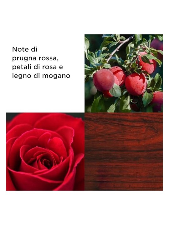 ELIZABETH ARDEN Sempre Rosso Eau de toilette spray 100ml