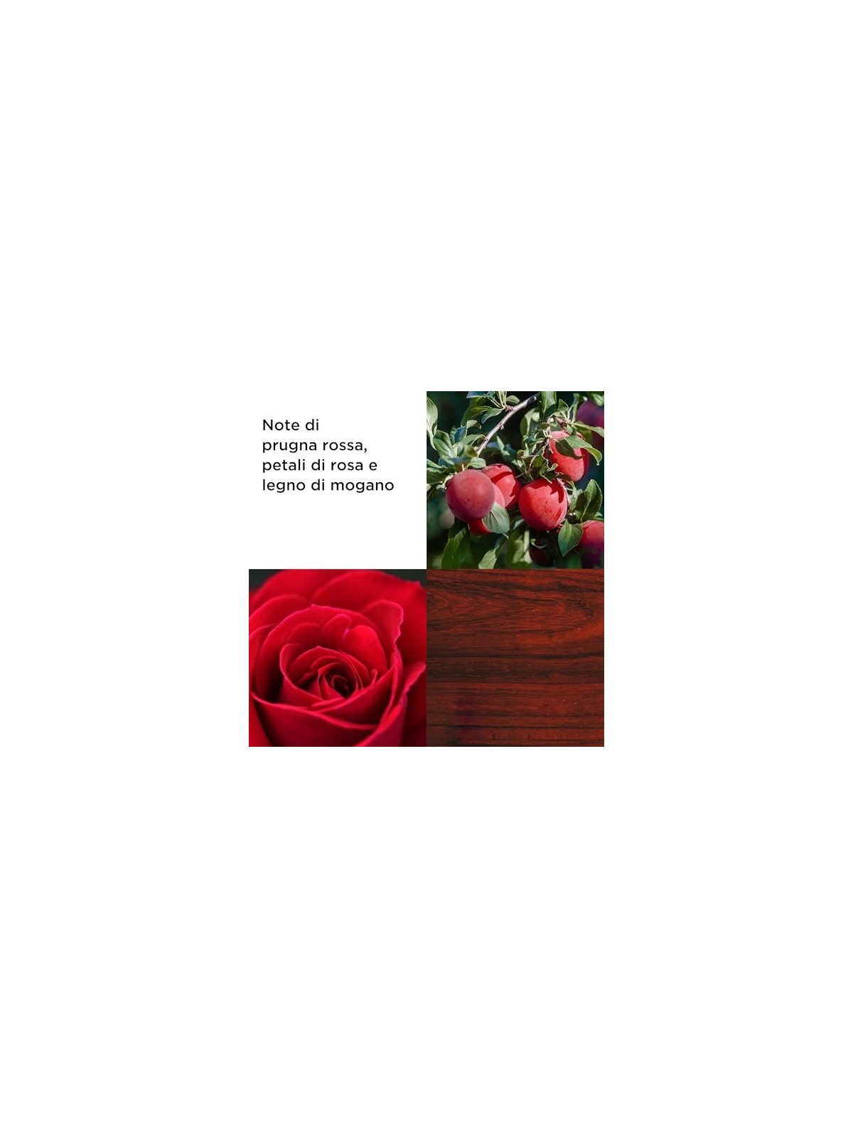 ELIZABETH ARDEN Sempre Rosso Eau de toilette spray 100ml