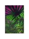 Profumo Britney Spears Jungle Fantasy 100ml