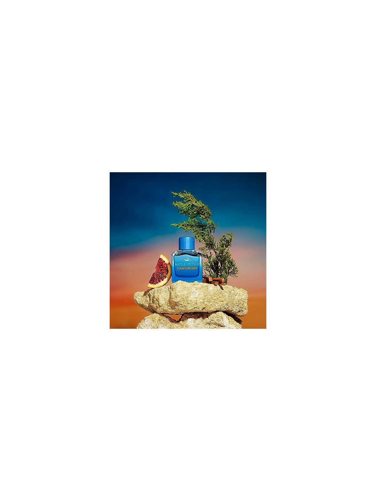 Profumo HOLLISTER Canyon Sky For Him 100ml