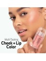 Fard e rossetto Physicians Formula Mineral Wear Diamond Filler Blush Brilliant Peach