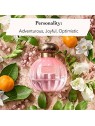 Tocca Belle Profumo Eau De Parfum 50ml donna