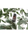 Miscela Olio Essenziale Support Breathe Aromatherapy Associates 10ml Unisex