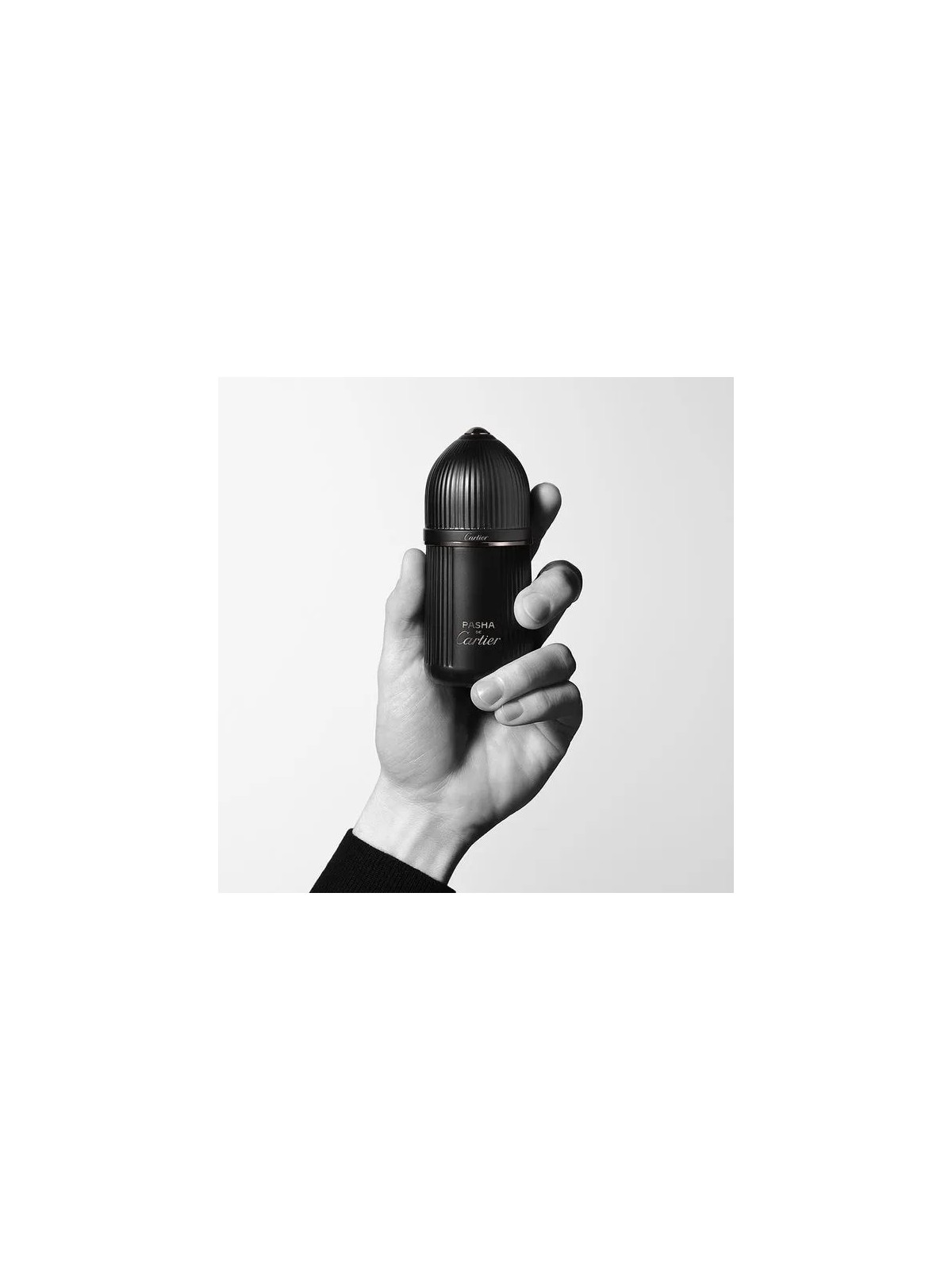 Cartier Pasha de Cartier Noir Absolu Parfum 100ml