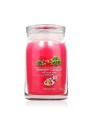 Yankee Candle Arte Nel Parco Candela Firma unisex Arte nel parco Candela profumata 567 0g