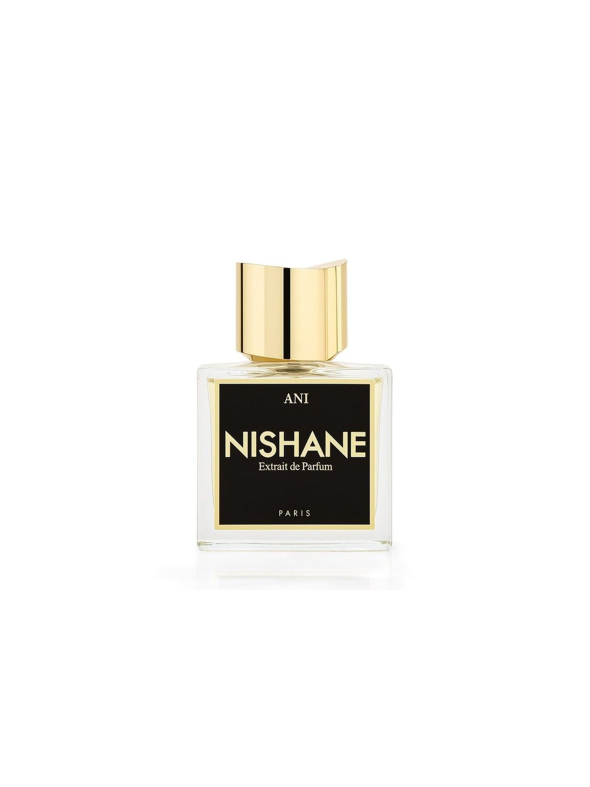 Nishane Ani Extrait de Profumo 50ml Unisex