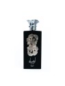 Lattafa Perfumes Ansaam Silver Unisex EDP Spray 100ml
