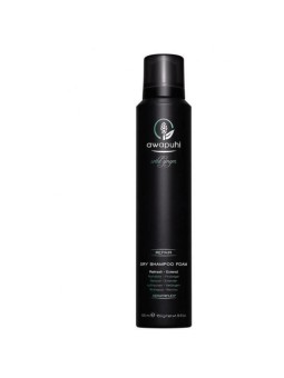 Paul Mitchell Awapuhi Wild Ginger Repair Dry Shampoo Foam