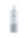 Paul Mitchell Awapuhi Wild Ginger Conditioner 250ml