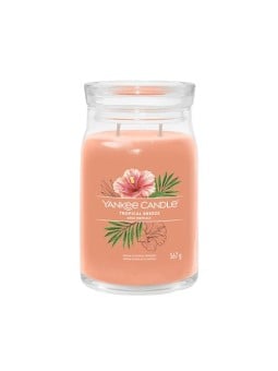 Yankee Candle Candela Profumata Signature Breeze Tropicale unisex 368 0g