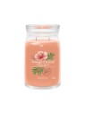 Yankee Candle Candela Profumata Signature Breeze Tropicale unisex 368 0g