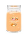 Yankee Candle Gelato al Mango Signature Candela Profumata unisex 368g