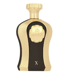 Afnan Altezza X eau de parfum unisex 100ml