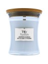 Candela legno di salvia e alghe 6090g