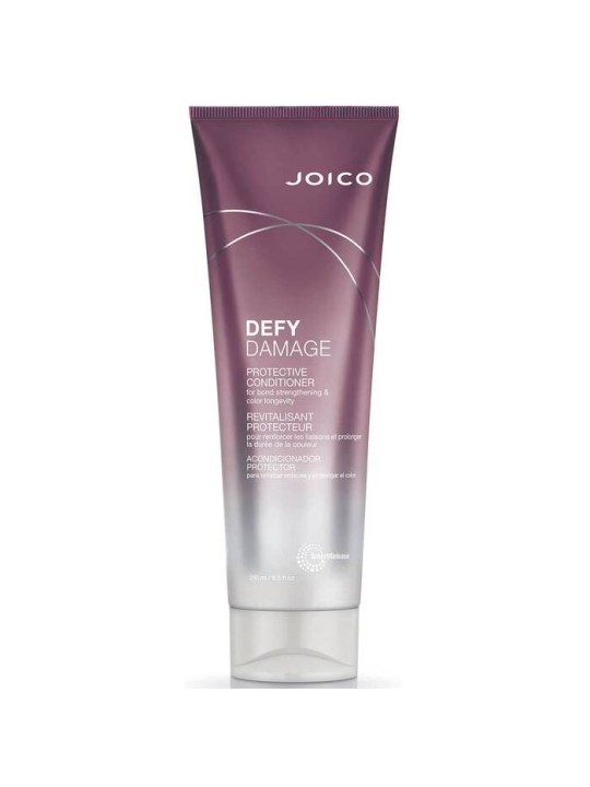 Balsamo Protettivo Joico DEFY DAMAGE 250ml Unisex