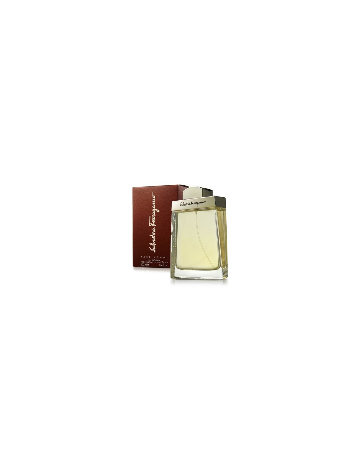 Salvatore Ferragamo Pour Homme 100ml